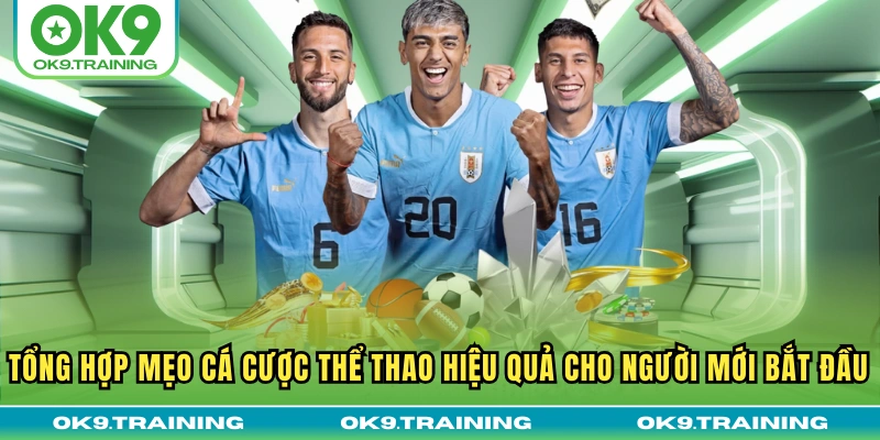 Tổng Hợp Mẹo Cá Cược Thể Thao Hiệu Quả Cho Người Mới Bắt Đầu 20 Tổng Hợp Mẹo Cá Cược Thể Thao Hiệu Quả Cho Người Mới Bắt Đầu